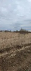 Земельный участок площадью 700 кв.м. Кадастровый номер: 50:23:0050573:1520. Категория земель: земли сельскохозяйственного назначения. Виды разрешенного использования: ведение садоводства. Местоположение: Российская Федерация, Московская область, городской округ Раменский, деревня Аргуново.