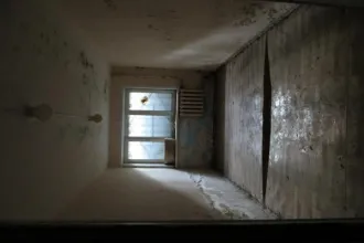 Нежилое помещение 584.8 кв.м по адресу: г. Таганрог, ул. Осипенко, 51. Назначение: нежилое, литер п/А, комнаты: 1-24, 5а, 6а, 6б, 16а, 26-28, этаж: подвал № 1. Кадастровый номер: 61:58:0003277:1199. Вид ограничений и обременений: согласно информационному извещению.