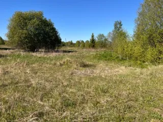 Земельный участок площадью 1891389 кв.м., кад. № 12:03:0202001:73, расположенный по адресу: РМЭ, Килемарский район, в восточной части кад.квартала №12:03:0202001 Вид разрешённого использования земельного участка: 1.0