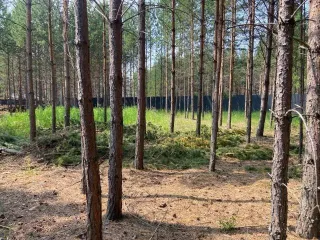 Земельный участок 984 кв.м для дачного строительства Красноярский край Земельный участок, по адресу: Местоположение установлено относительно ориентира, расположенного в границах участка.Ориентир с. Устюг. Почтовый адрес ориентира: Красноярский край, Емельяновский район, трапеция 4452, контур 453р…