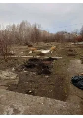 Земельный участок 1200 кв.м, Коченевский район, Новосибирская область, с.т. «Светлое», участок № 157, кадастровый номер: 54:11:016201:158, площадь 1200 кв.м., категория земель: для ведения садоводства. В соответствии со сведениями публичной кадастровой карты на земельном участке не установлены…