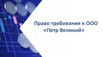 Права требования к ООО «Петр Великий», сумма долга 114 427 495,48 руб.