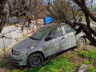 Шкода Фабия 2005 г.в. VIN TMBJY16Y454349744