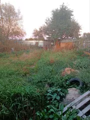 1/2 доля в праве на земельный участок, площадь: 300 кв.м. категория земель: Земли сельскохозяйственного назначения, разрешенное использование: Для садоводства, кадастровый номер: 50:32:0040246:312, на земельном участке расположено не зарегистрированное строение.
Адрес (местонахождение): Московская…