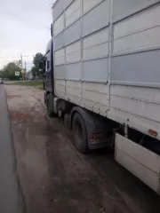 Грузовой тягач седельный; VIN номер: Z9M9440325G725751; Марка: Mercedes-Benz; Модель: Axor 1840 LS; Год выпуска: 2013; Государственный регистрационный знак: Х892ХН/36. Полуприцеп Pezzaioli SBA63; VIN номер: ZFJSBA63UJM006678; Марка: Pezzaioli; Модель: SBA63; Год выпуска: 2018; Государственный…