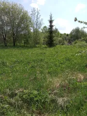 Земельный участок 1500 +/- 14 кв.м. Кирилловский р-н Вологодская область Земельный участок, площадь 1500 +/- 14 кв.м., назначение: Земли населенных пунктов, адрес (местонахождение): Вологодская область, р-н. Кирилловский, г. Кириллов, ул. Коновалова, кадастровый (условный) номер: 35:05:0506004:27…