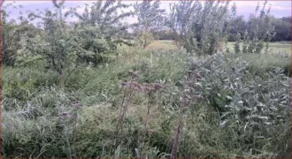 Доли дома 68.1 кв.м и участка 2172 кв.м, Краснодарский край 1/4 доля дома и 1/4 доля земельного участка в Краснодарском крае еще 1/4 доля дома и 1/4 доля земельного участка в Краснодарском крае еще 1/4 доля в праве на жилое здание, площадь: 68,1кв.м., кадастровый номер: 23:32:0503013:697 и 1/4 доля…