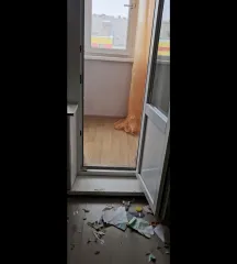 Квартира, 49,8 м², Южно-Сахалинск. Жилое помещение, кадастровый номер 65:01:0602006:1093; 1/1 доля; г. Южно-Сахалинск, ул. Пуркаева М.А., д. 45, кв. 54; 49,8 м².
