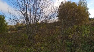 Земельный участок площадью 4700 кв.м. Кадастровый номер: 33:11:110503:34. Виды разрешенного использования: личное подсобное хозяйство. Адрес: Владимирская область, Судогодский район, сельское поселение Андреевское, деревня Мостищи, земельный участок 7. Ознакомиться с имуществом можно по месту его…