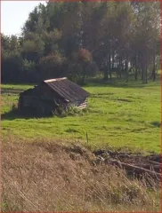 Дом 35.3 кв.м и участок 3000 кв.м, Кемеровская область. Жилое здание, площадь: 35.3 кв.м, кадастровый номер: 42:01:0112001:427 и земельный участок, площадь: 3000 кв.м, категория земель: Земли населенных пунктов, разрешенное использование: Для ведения личного подсобного хозяйства, кадастровый номер…