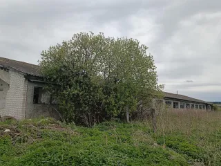 Движимое имущество, годные остатки, транспортные средства в общем количестве 77 наименований. Здание телятника № 3 (1988 г.п., движимое имущество, годные остатки); Здание телятника (1976 г.п., движимое имущество, годные остатки); Здание склада (1989 г.п., движимое имущество, годные остатки); Здание…