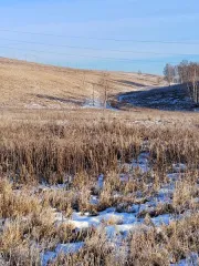 Земельный участок площадью 1150+/-24 кв.м, кадастровый номер 24:11:0220102:1644, расположенный по адресу: Красноярский край, Емельяновский район. Цена продажи 280 500 руб. Задаток 42100 руб. Обременения: запреты судебного пристава-исполнителя на регистрационные действия. Вид разрешённого…