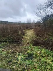 Жилой дом 52 кв.м и земельный участок 1500 кв.м, Пензенская обл. 1/2 доля дома и 1/2 доля земельного участка в Пензенской обл. еще 1/2 доля дома и 1/2 доля земельного участка в Пензенской обл. еще Жилой дом и земельный участок по адресу: Пензенская обл., р-н. Городищенский, д. Борисовка, ул…
