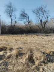 Земельный участок 3300 кв.м в Приморском крае, Ханкайский район, село Новокачалинск, улица Калинина, 6. Кадастровый номер: 25:19:010401:1226.