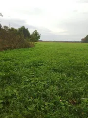 Земельный участок площадью 131000 кв.м. Адрес: 627033, Тюменская область, Ялуторовский район, село Киёво. Кадастровый номер: 72:21:0000000:28. Вид собственности: индивидуальная.