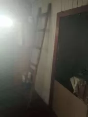 1/3 доля в праве на жилое здание площадью 34,6 кв.м, кадастровый номер 60:23:0010320:41. 1/3 доля в праве на земельный участок площадью 1235,6 кв.м, категория земель - земли населенных пунктов, разрешенное использование - для ведения личного подсобного хозяйства, кадастровый номер 60:23:0010321:2…