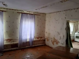 1/2 доля жилого дома, 41,1 кв.м, Оренбургская область, Российская Федерация, м.р-н Северный, с.п. Рычковский сельсовет, с Рычково, ул Нижнеаульная, двлд. 3, кадастровый номер 56:28:1201002:196.