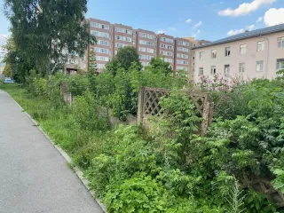 Земельный участок 1500 м², Владимирская область, Петушинский район, г. Петушки, ул. Кирова. Кадастровый номер 33:13:010211:717, площадь 1 500 +/-13 м. кв. Местоположение установлено относительно ориентира, расположенного в границах участка. Почтовый адрес ориентира: Владимирская обл, район…