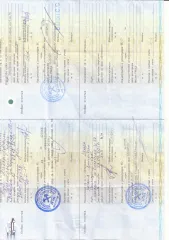 Daihatsu Terios Kid 2003, кузов J111G068196, год выпуска 2003, мощность 64 л.с., ПТС 25УР 608099.