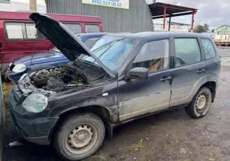 Chevrolet NIVA, VIN: X9L212300L0699013, Госномер: В633КХ186, Год выпуска: 2019, Тип ТС: Легковой универсал, Цвет: Зелено коричневый металлик, Год выпуска: 2019