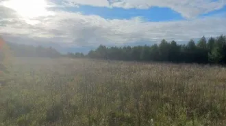 Земельный участок 1500 кв.м для индивидуального жилищного строительства. Иркутская область, Иркутский район, сельское поселение Ширяевское, деревня Ширяева, улица Надежды, земельный участок 39. Кадастровый номер: 38:06:111302:6076.