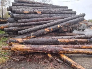 Древесина лиственницы, сосны, ели, пихты 84.4 м3, Красноярский край. 157 стволов деревьев пород лиственница, сосна, ель, пихта - 84.427 м3. Срублен предположительно 2022 год. Хранился на открытой площадке, почернел. Находится Красноярский край, Мотыгинский район, п. Кулакова, на данный момент…