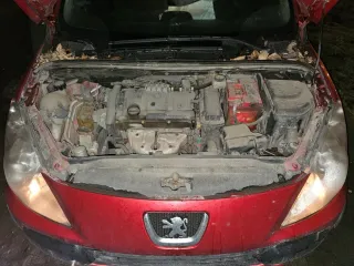 Peugeot 307 2006 Легковой автомобиль хэтчбек VIN VF33CNFUL84785557 Год выпуска 2006 Кузов VF33CNFUL84785557 Модель двигателя NFU10FX6NPSA 3076207 Цвет Красный Тип двигателя Бензиновый Мощность 109 л.с. 80 кВт Объем 1587 куб. см ПТС 51 УТ 730469 СТС 99 42 948972