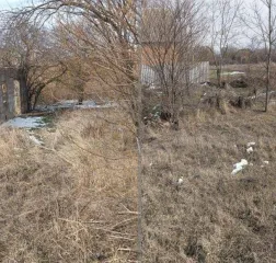 Земельный участок площадью 2400 кв.м. Местоположение установлено относительно ориентира: Краснодарский край, Щербиновский район, станица Старощербиновская, улица Комсомольская, 24. Кадастровый номер: 23:36:0707034:157. Граница земельного участка не установлена в соответствии с требованиями…