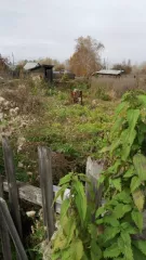 Земельный участок, категория земель: земли сельскохозяйственного назначения, разрешенное использование: для ведения садоводства, площадь 957 кв. м.,адрес  местоположение  объекта: Иркутская область, Усольский район, садоводческое некоммерческое товарищество «Химик 2», уч. №189, кадастровый номер…