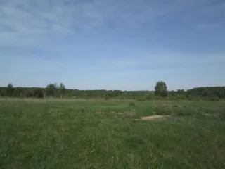  договор аренды земельного участка, расположенного: Российская Федерация, Ярославская область, Брейтовский район, Брейтовское сельское поселение, с. Брейтово, ул. Ситская земельный участок 2  земельный участок с кадастровым номером 76:03:010101:1756, расположенного: Российская Федерация…