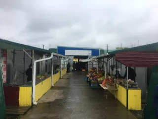1/3 доля в праве на здание, назначение: нежилое, площадь общая 355,7 кв.м., инвентарный номер: 5248, этажность 1, подземная этажность 0, кадастровый номер: 25:05:0602014:419, 
1/3 доля в праве на земельный участок, категория: земли населенных пунктов, вид разрешенного использования: для размещения…