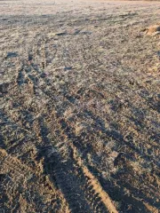 1/4 доля земельного участка, 1540 +/- 16 кв.м, Пермский край, назначение: Земли населенных пунктов, виды разрешенного использования: для ведения личного подсобного хозяйства, адрес (местонахождение): край Пермский, р-н Пермский, с/п Юго-Камское, д. Петушки, кадастровый (условный) номер…