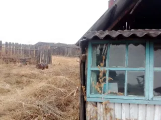 1/4 доля здания 36.2 кв.м. и 1/4 доля земельного участка 3220 кв.м., Иркутская область 1/4 доля в здании площадь 36.2 кв.м., назначение: Жилое, количество этажей: 1, адрес (местонахождение): Россия, Иркутская область, р-н. Нижнеудинский, с. Абалаково, ул. Школьная, д. 8, кадастровый (условный)…