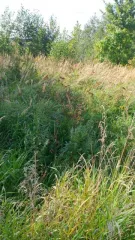 Здание 8 кв.м и земельный участок 800 кв.м в Калужской области, Боровский район, деревня Шемякино. Участок для ведения личного подсобного хозяйства, площадь 800 +/-12 кв.м, кадастровый номер 40:03:050801:578. Нежилое здание площадью 8 кв. м, кадастровый номер 40:03:050801:779. Доля в праве…