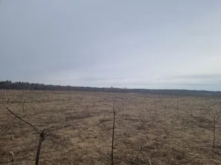 Земельный участок с кадастровым номером 69:10:0000037:1691, площадью 1 077 кв.м., местоположение: Тверская область, Калининский район, Верхневолжское с/п, с.Петровское.