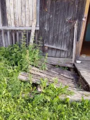 Нежилое помещение 36.8 кв.м. Вологодская область Помещение с кадастровым номером 35:02:0306005:387 площадью 36,8 кв. м., назначение: нежилое, расположенное по адресу: Вологодская область, Бабаевский район, деревня Санинская, дом 55, квартира 3 Год ввода в эксплуатацию: 1983 Кадастровый номер…