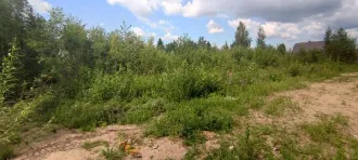 Земельный участок 900 кв.м для индивидуального жилищного строительства, Архангельская область, Вельский муниципальный район, город Вельск, улица Хвойная. Кадастровый номер 29:01:000000:6212. Категория земель: земли населённых пунктов. Территориальная зона: residential.