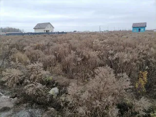 Земельный участок с кадастровым номером 50:29:0050107:1075, площадью 1026 +/- кв.м., по адресу: Московская область, р-н Воскресенский, категория земель: земли сельскохозяйственного назначения, вид разрешенного использования: для дачного строительства. ВНИМАНИЕ ВАЖНАЯ ИНФОРМАЦИЯ: Осмотр имущества…