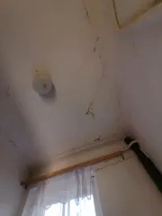 Имущественный комплекс: здание детского сада, назначение нежилое, кадастровый номер 61:52:0030003:894, площадью 892,6 кв.м, этажность 2, литер А, год ввода в эксплуатацию 1937; тепловая сеть протяженностью 9 п.м, литер 3-Л, год ввода в эксплуатацию 1937; водопроводная сеть протяженностью 34 п.м…