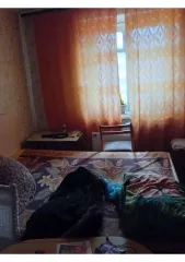 1/5 доля квартиры 61.3 кв.м Нижний Тагил, 1/5 доля в праве общей долевой собственности на жилое помещение с кадастровым номером 66:56:0208006:2247, площадью 61.3 кв.м., расположенное по адресу: Свердловская область, г. Нижний Тагил, ул. Красногвардейская, д. 12, кв. 48