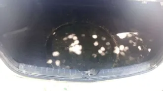KIA K5 2021, VIN: XWEG2414BM0005610, год выпуска 2021