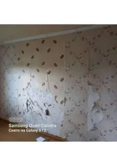 Жилое помещение, площадь: 49,7кв.м., кадастровый номер: 45:06:020118:634 и земельный участок , площадь: 539кв.м., категория земель: Земли населенных пунктов, разрешенное использование: Для ведения личного подсобного хозяйства, кадастровый номер: 45:06:020118:93, Адрес (местоположение): Курганская…