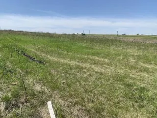Земельный участок, площадью 1200+/-303 кв.м., кад. №24:04:0501003:874, расположенный по адресу: Красноярский край, м.о. Сосновоборский, с. Зыково, ул. Новаторская, з/у19. Обременения: Арест, запреты на рег. действия. Задаток 49000,00 руб. Основной вид разрешенного использования: 2.0 Кадастровый…
