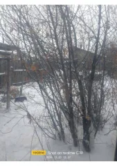 1/3 доли квартиры, 13,9 кв.м, Курганская обл., Белозерский р-н, с. Белозерское. 1/3 доля квартиры в Курганской обл. еще 1/3 доля квартиры в Курганской обл. еще 1/3 доля в праве на жилое помещение, площадь: 13,9кв.м., адрес (местонахождение): Курганская область, р-н. Белозерский, с. Белозерское…