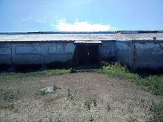 Часть здания коровника МТФ №5 (корпус №1) площадью 1 429,5 кв.м, кадастровый номер 13:12:0131001:973. Часть здания коровника МТФ №5 (корпус №2) площадью 1 180 кв.м, кадастровый номер 13:12:0131001:977. Корпус №3 МТФ №5 площадью 1 558,9 кв.м, кадастровый номер 13:12:0131001:616. Общая площадь 4…