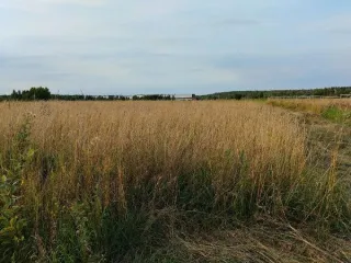 Земельный участок 1500 кв.м, КН 50:30:0050204:1914, Московская область. Площадь земельного участка: 1500. Кадастровый номер земельного участка: 50:30:0050204:1914. Основной вид разрешенного использования: 2.2