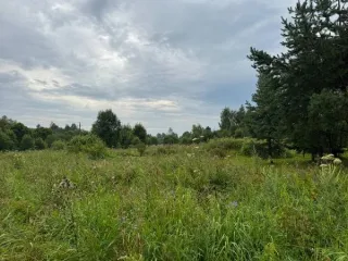 Земельный участок кадастровый квартал 50:07:0060320, площадь 1153 кв.м, категория земли населенных пунктов, вид разрешенного использования для индивидуального жилищного строительства, местоположение Московская область, Волоколамский м.о., п. Шитьково. Вид разрешённого использования земельного…