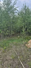 Земельный участок 1006 кв.м. в Свердловской области, г. Заречный, восточнее д. Гагарка, кадастровый (условный) номер: 66:42:0201003:1772, вид собственности: индивидуальная.