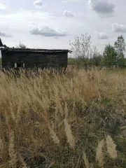 Земельный участок 2692 кв.м, жилой дом 54,3 кв.м, Рязанская обл., Клепиковский р-н, д.Томаково, Рязанская обл., Клепиковский муниципальный район, Бусаевское сельское поселение, деревня Томаково, уч. 3, 2692 кв.м., кадастровый номер: 62:05:2420101:2 и Здание жилое по адресу: Рязанская обл…
