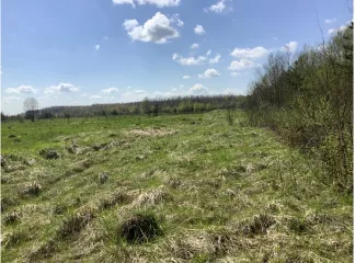 Земельный участок - 910 982 +/- 1 670 кв. м, кадастровый номер 60:21:0120203:7, земли промышленности, энергетики, транспорта, связи, радиовещания, телевидения, информатики, земли для обеспечения космической деятельности, земли обороны, безопасности и земли иного специального назначения - для…